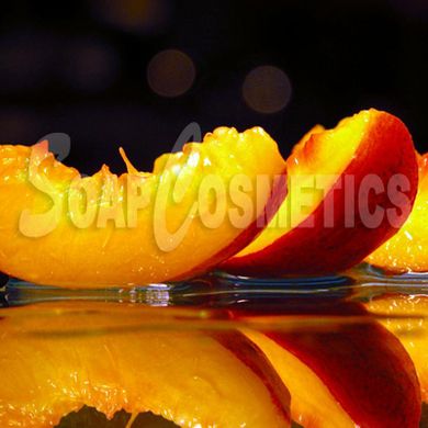 Персикових кісточок олія рафінована ФА100ПРС фото