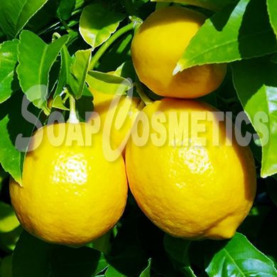 Лимона ефірна олія, 25 мл.