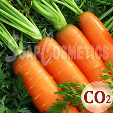 Моркви СО2 екстракт, 10 гр.